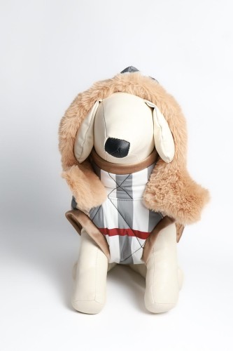 Aura Royal – kurtka dla psa z odpinanym kapturem i futerkiem, widok od przodu. / Aura Royal dog jacket with detachable hood and faux fur, front view.