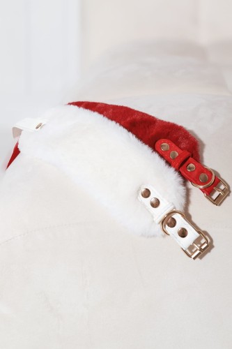 francuski-aksamit-od-strony-szyi-w-bordowej-obrozy-dla-charta