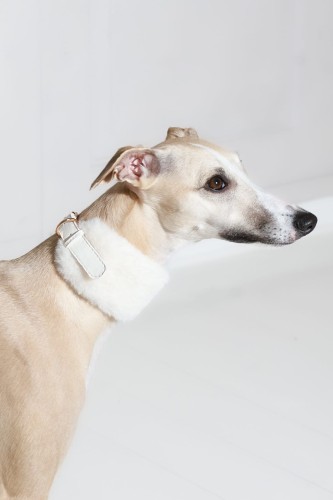 reczne-wykonanie-i-detal-zapiecia-kremowej-obrozy-dla-charta