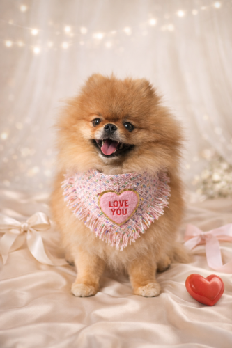 Chusta Love You Coco z tweedu z pluszowym serduszkiem na psie rasy pomeranian