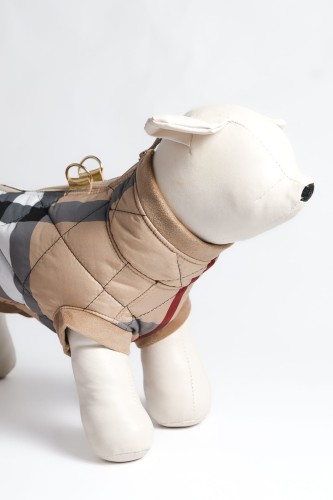 Boczne ujęcie psa w luksusowej zimowej kurtce w kratkę, ukazujące dopasowany krój, proporcje i komfort noszenia. Side view of a dog wearing a luxury quilted winter coat, highlighting tailored fit and elegant proportions.