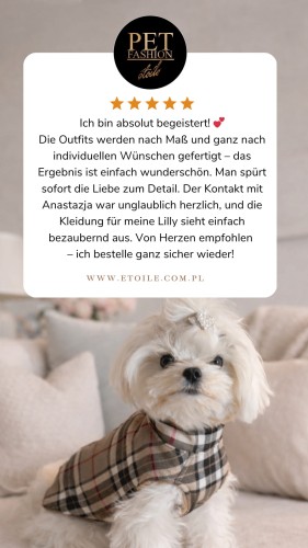 Beige 5 star Customer Review Testimonial Instagram Story.png