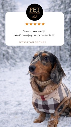 Beige 5 star Customer Review Testimonial Instagram Story.png