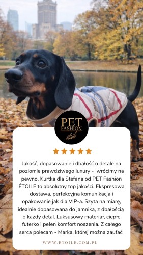 Beige 5 star Customer Review Testimonial Instagram Story.png