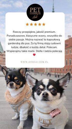 Beige 5 star Customer Review Testimonial Instagram Story.png