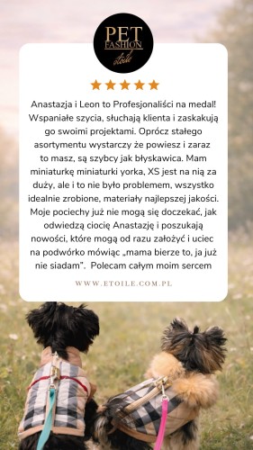 Beige 5 star Customer Review Testimonial Instagram Story.png