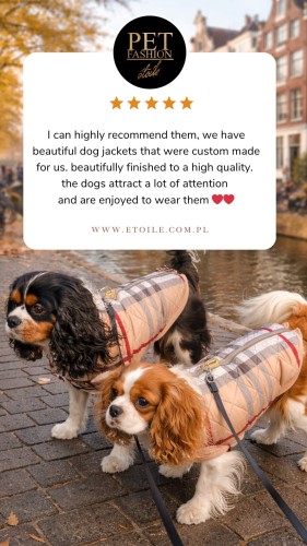 Beige 5 star Customer Review Testimonial Instagram Story.png