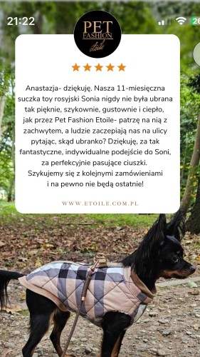 Beige 5 star Customer Review Testimonial Instagram Story.png