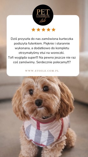 Beige 5 star Customer Review Testimonial Instagram Story.png