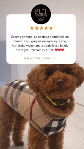 Beige 5 star Customer Review Testimonial Instagram Story.png