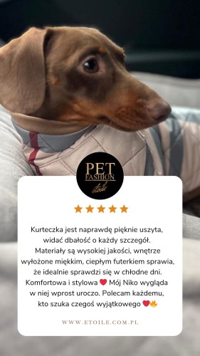 Beige 5 star Customer Review Testimonial Instagram Story.png