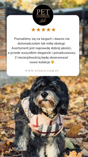 Beige 5 star Customer Review Testimonial Instagram Story.png