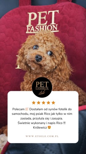 Beige 5 star Customer Review Testimonial Instagram Story.png