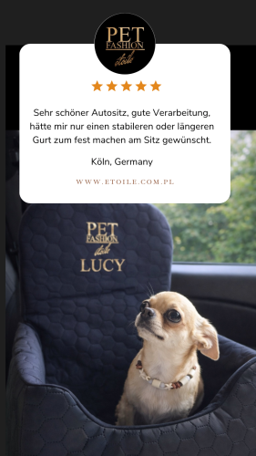 Beige 5 star Customer Review Testimonial Instagram Story.png