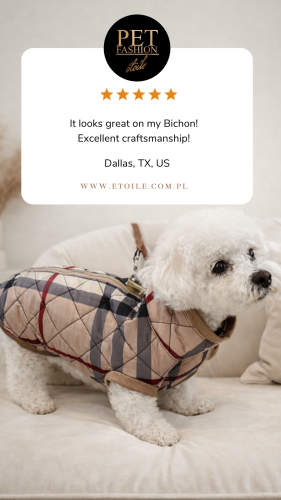 Beige 5 star Customer Review Testimonial Instagram Story.png