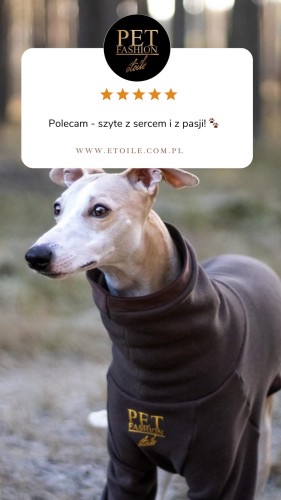 Beige 5 star Customer Review Testimonial Instagram Story.png