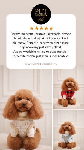 Beige 5 star Customer Review Testimonial Instagram Story.png