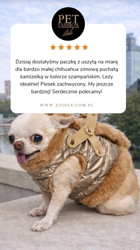 Beige 5 star Customer Review Testimonial Instagram Story.png