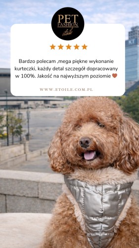 Beige 5 star Customer Review Testimonial Instagram Story.png