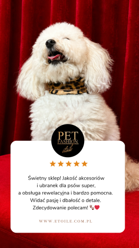 Silk Panther poodle collar 5 star Customer Review Testimonial Instagram Story.PNG
