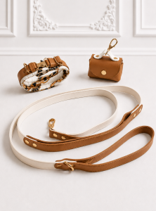 Silk Caramel Set – luksusowy zestaw spacerowy dla pudla: jedwabna obroża, smycz i etui ze skóry naturalnej z okuciami pozłacanymi 24k złotem