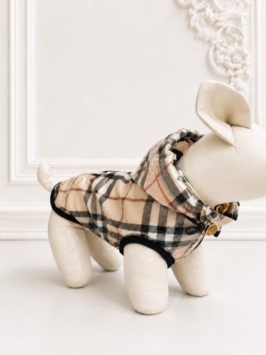 DD0FF754-6CC9-4859-A166-14C4970678F8.png