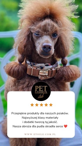 Silk CARAMEL poodle collar 5 star Customer Review Testimonial Instagram Story grey poodle.jpeg