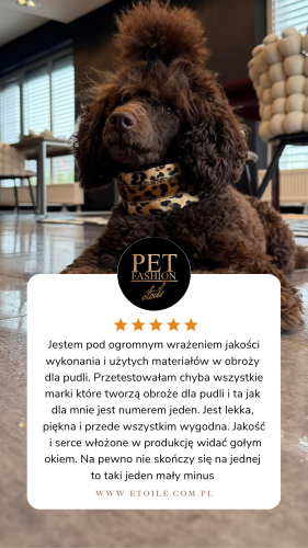 Silk Panther poodle collar 5 star Customer Review Testimonial Instagram Story 2.PNG