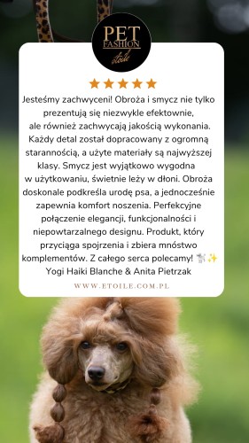 Silk Panther poodle collar 5 star Customer Review Testimonial Instagram Story Brazowy.jpeg