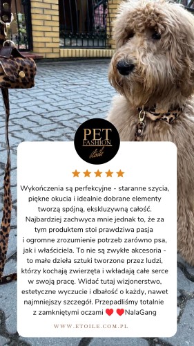 Silk PANTHER poodle collar 5 star Customer Review Testimonial Instagram Story grey poodle DOODLE.jpeg