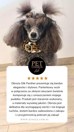 Silk Panther poodle collar 5 star Customer Review Testimonial Instagram Story grey poodle.jpg