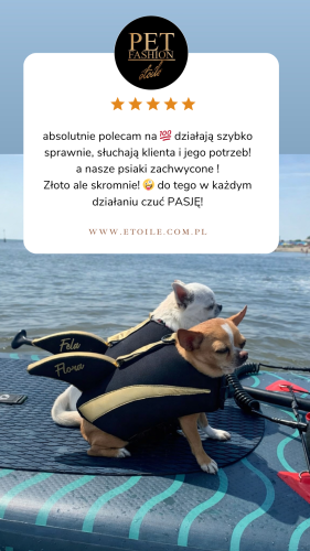Beige 5 star Customer Review Testimonial Instagram Story.PNG