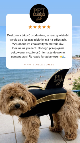 Beige 5 star Customer Review Testimonial Instagram Story.PNG
