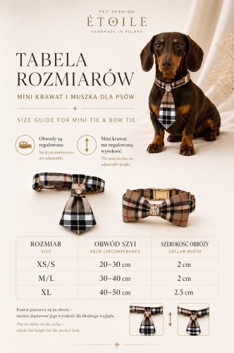 Tabela rozmiarów muszki i mini krawata dla psa i kota – wymiary akcesoriów PET Fashion ÉTOILE