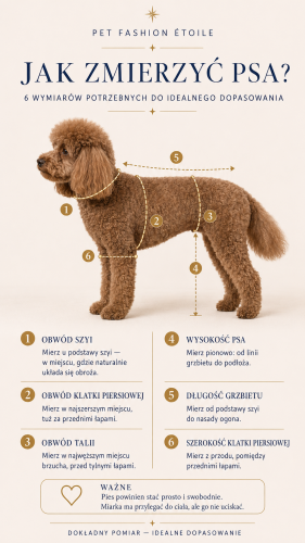 Jak zmierzyć psa przed wyborem rozmiaru obroży – instrukcja pomiaru obwodu szyi psa i kota PET Fashion ÉTOILE