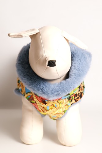 PL: Kurtka dla małego psa Gala Panther Jungle z puszystym błękitnym kołnierzem i kolorowym tropikalnym wzorem, widok z przodu. EN: Front view of Gala Panther Jungle small dog jacket with a fluffy powder blue fur collar and colourful tropical print.