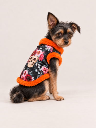 Bluza HALLOWEEN SKULL pokazana od tyłu — wzorzysta tkanina i pomarańczowe futerkowe wykończenie. Back view of the HALLOWEEN SKULL sweatshirt, showing the patterned fabric and orange faux-fur trim.