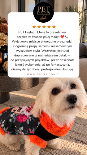 Beige 5 star Customer Review Testimonial Instagram Story - 5.png